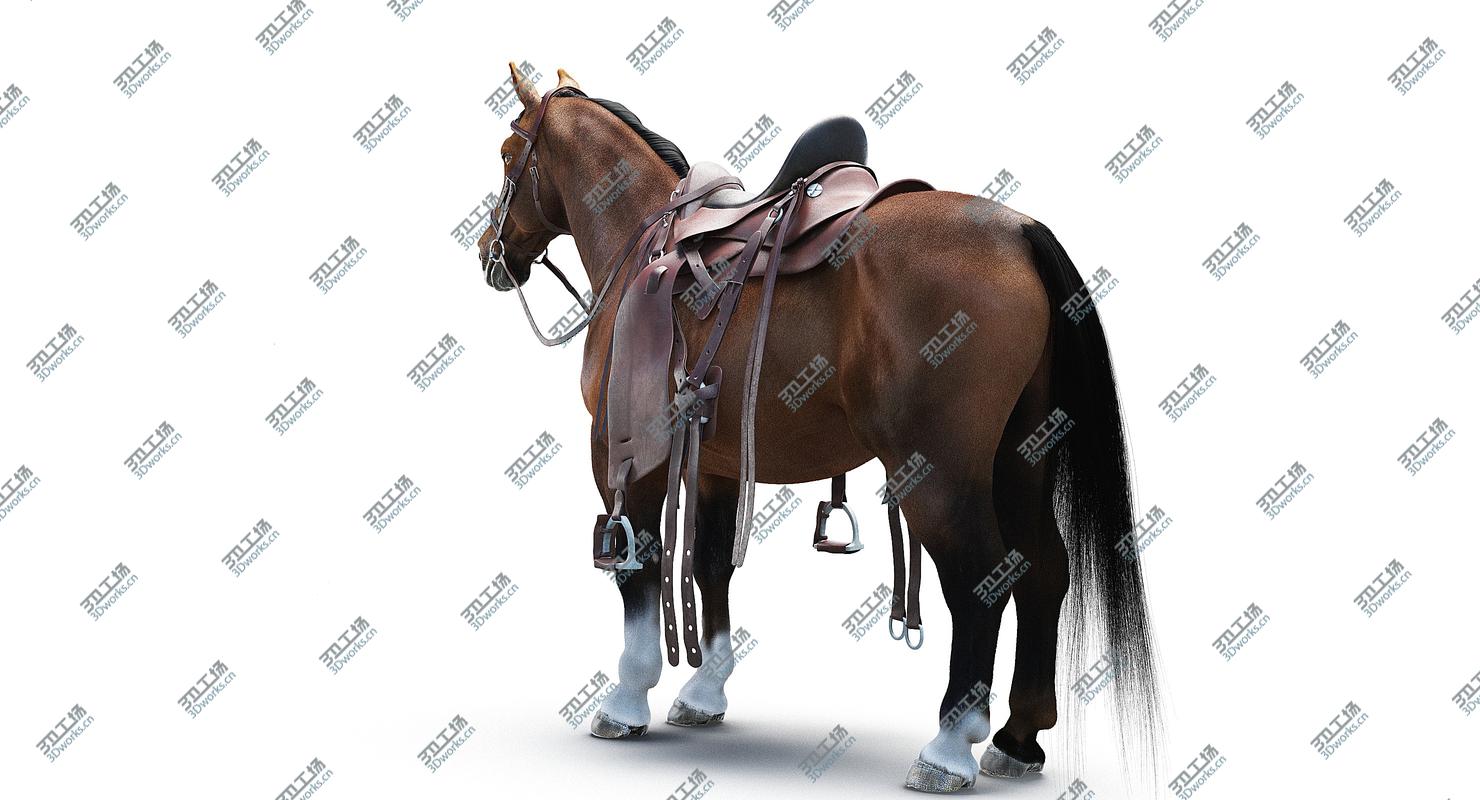 images/goods_img/2021040233/Horse with Saddle/5.jpg
